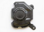 Lightech Carbon Fibre Pick Up Cover Kawasaki Z800 13>