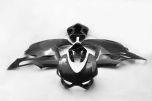 Carbonin Ducati 1199 Panigale Carbon Fibre Complete Set of Race Fairings