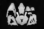 Avio Fibre BMW S1000RR 2010-2014 Complete set of Race Fairings for Race Exhaust