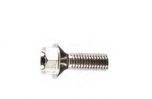 LighTech Screw for Traditional Rise Footpeg Holder