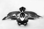 Carbonin Ducati 1199 Panigale Carbon Fibre Complete Set of Race Fairings